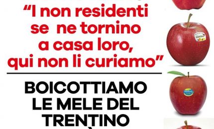 Coronavirus, i leghisti trentini: "I non trentini tornino a casa loro, noi non li curiamo"