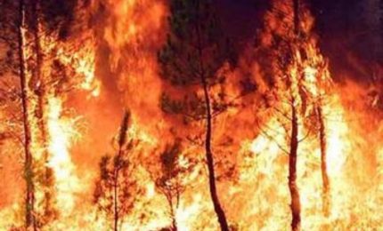 Campagna antincendio della Regione siciliana: non è vero che partirà in anticipo, il 3 Giugno è già tardi!