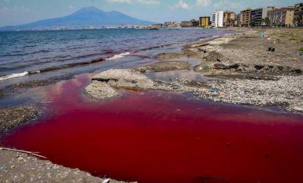 Mare inquinato. Golfo di Castellammare, Carini, Trappeto, Balestrate. Storie di percolato (e di soldi, tanti soldi)