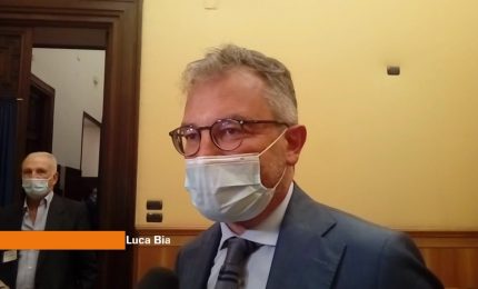 Bianchi (Svimez) "Per ripartenza decisivo ruolo politiche pubbliche"