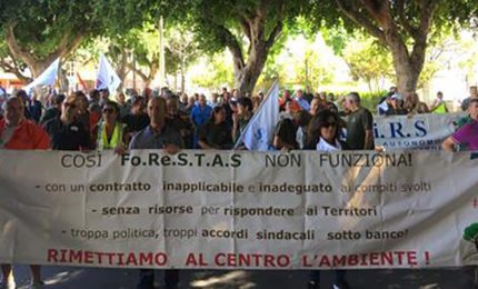 Sì della Corte dei Conti alla stabilizzazione dei forestali in Sardegna. Adesso tocca alla Sicilia