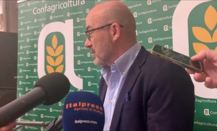 Agricoltura, Cingolani "Previste misure per efficientare sistema"