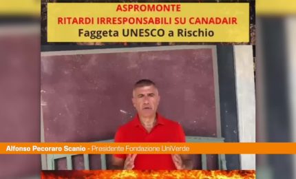 Incendi in Aspromonte, Pecoraro Scanio: “Canadair e Governo in ritardo"