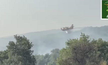 Incendi, dalle Madonie al Parco dell’Etna. Canadair in azione in Sicilia