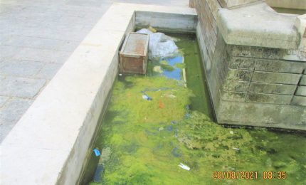 La fontana di via Magliocco trasformata in un salotto puzzolente pieno di melma/ PALERMO-CITTA' 99