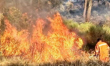 In Sicilia sta per abbattersi un'altra ondata di caldo. Il Governo riuscirà a tutelare il verde che è rimasto?/ MATTINALE 547