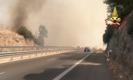 Incendi, brucia vegetazione nel palermitano