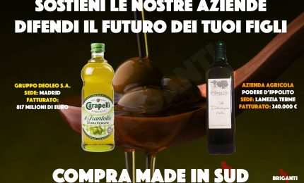 Si avvicina Ferragosto, dovete fare la spesa per acquistare anche olio d'oliva extra vergine? Non fatevi prendere in giro!/ MATTINALE 459