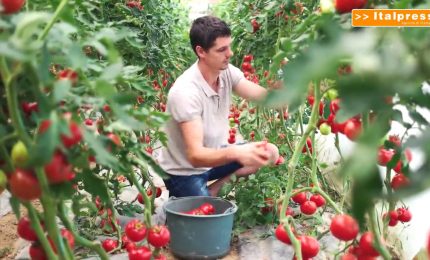 Agricoltura, UE lancia la giornata della produzione biologica