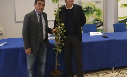 Maserati, Bosch e Ford ritirano il Green Prix 2020