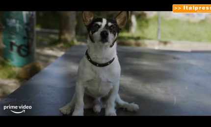 Anni da cane, il trailer