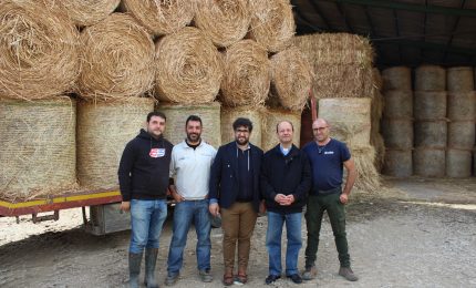 Solidarietà sulle Madonie, donati foraggi per le aziende colpite dagli incendi