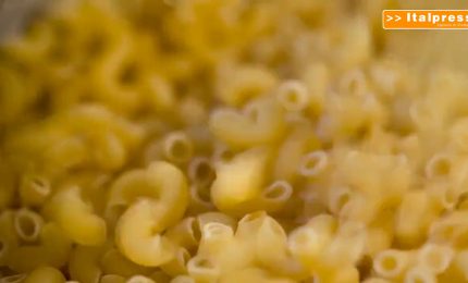 World Pasta Day, italiano 60% del grano duro utilizzato