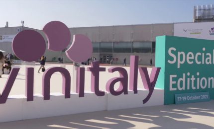 Vinitaly Special Edition, risultati oltre le aspettative