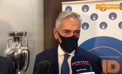 Gravina: "A marzo rivedremo la Nazionale dell'Europeo"