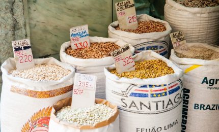 La FAO: in crescita i prezzi dei beni alimentari per il terzo mese consecutivo in tutto il mondo. Il dilemma del grano / MATTINALE 481