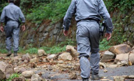 Cambiamenti climatici 1/ Per tutelare la Sicilia servono almeno 30 mila operai forestali