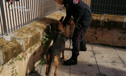 Spacciavano droga davanti a una scuola, 12 arresti a Palermo