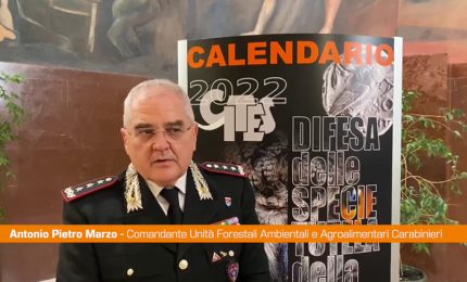 Carabinieri, le specie protette nel calendario Cites