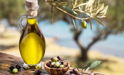 La 'moltiplicazione' dell'olio d'oliva extra vergine del Nord Italia a spese delle olive e dell'olio di oliva del Sud e della Sicilia/ MATTINALE 499