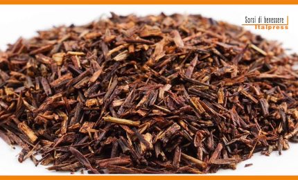 Sorsi di benessere - Come preparare il tè rooibos