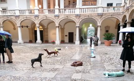 Il “Branco” di Vitali si insedia al Palazzo Reale di Palermo