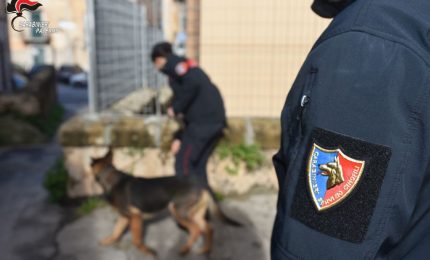 Armi e droga, sei arresti a Palermo