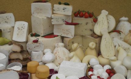 L'agricoltura nel mondo collassa tra pandemia e cambiamenti climatici mentre la Sicilia pensa ai formaggi senza latte... / MATTINALE 545