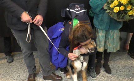 Goggia "Medaglia incredibile, ho fatto qualcosa di grandioso"