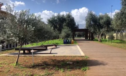 Palermo, dagli ulivi del "Giardino della memoria" nasce l'olio santo