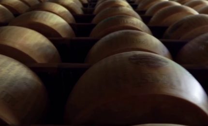 Il 2021 anno record per Parmigiano Reggiano