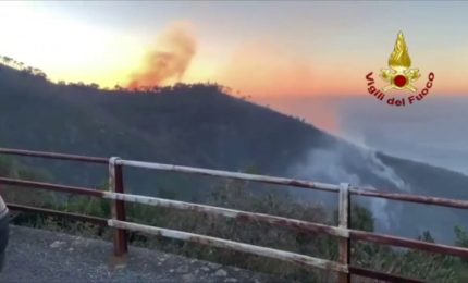 Incendi boschivi a La Spezia e Genova, vigili del fuoco al lavoro