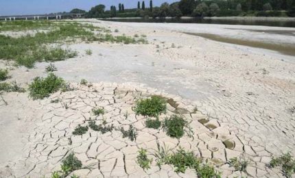 Cambiamenti climatici ancora in Sud America, Australia e Lombardia. In rialzo il prezzo del grano. Incognita Ucraina/ MATTINALE 563