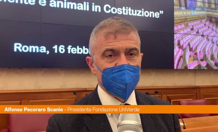 Pecoraro Scanio "Ambiente in Costituzione, le leggi si adeguino"