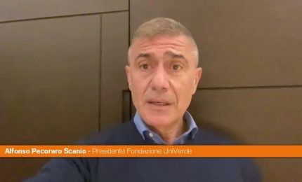 Pecoraro Scanio "Anche Confindustria boccia il governo sul carbone"