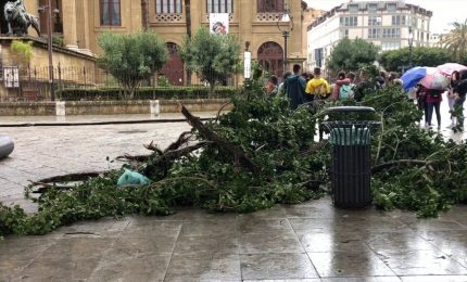 Il vento e i temporali devastano Palermo