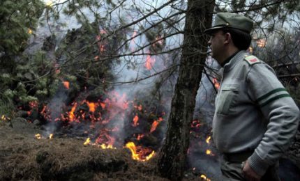 Follia: con i cambiamenti climatici in corso (incendi, alluvioni) la Sicilia penalizza gli operai forestali. Non abbiamo speranza/ MATTINALE 612