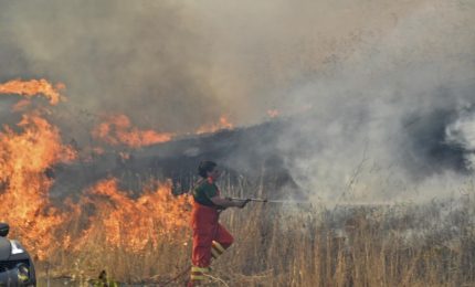 Svolta nella prevenzione degli incendi nei boschi siciliani: operai forestali al lavoro ad Aprile per realizzare i viali parafuoco/ MATTINALE 582