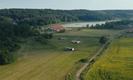 L'agriturismo tiene nonostante la pandemia