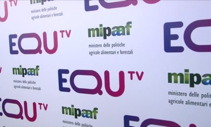 Nasce EQUtv, emittente di Mipaaf-Snaitech per l'ippica