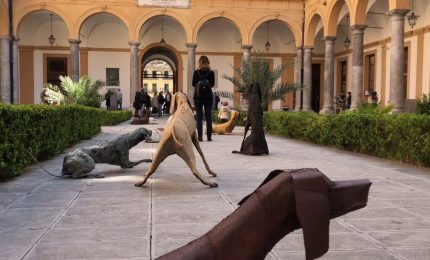 Il Branco di Vitali approda alla Facoltà di Giurisprudenza di Palermo