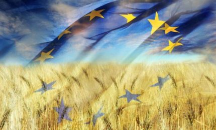 La Ue cambia linea politica in agricoltura e pensa ad aumentare le superfici a grano e alla sovranità alimentare. E Marocco, Egitto e Brasile...