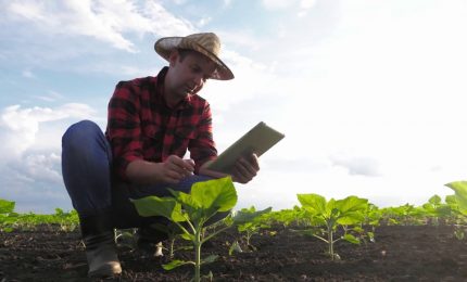 Agroalimentare, Pil in crescita del 6,2%