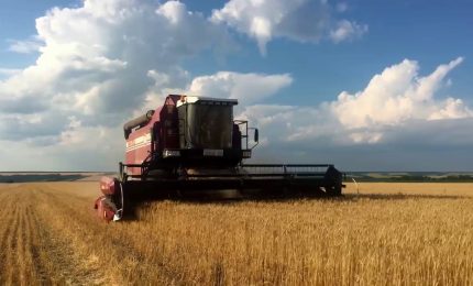 Arriva il bonus agricoltura, domande dal 20 settembre