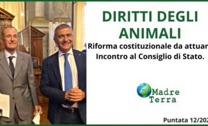 Madre Terra - Diritti degli animali