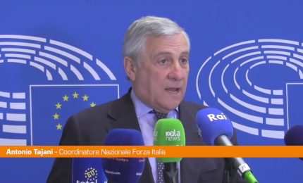 Tajani "Riforma reddito cittadinanza per taglio cuneo fiscale"