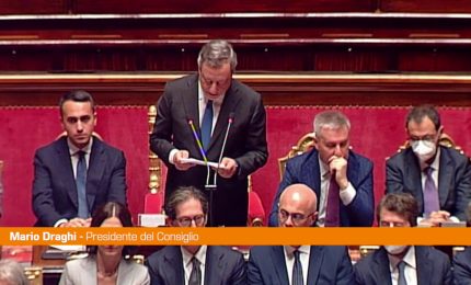 Draghi in Senato "Non serve una fiducia di facciata"