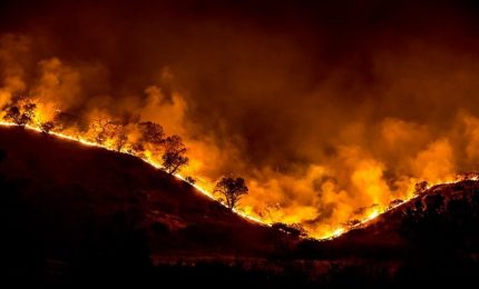 Incendi nei boschi siciliani, arrivano anche i Mangiafuoco dall'Emilia mentre Musumeci e Cordaro hanno consultato una Pizia a Delfi...