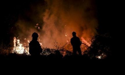 Gli incendi travolgono mezza Europa e fanno crescere il prezzo del grano. Il 'caso' del fiume Reno in Germania/ MATTINALE 705