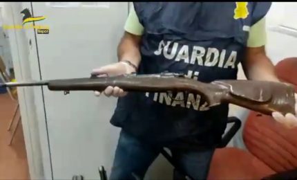 Napoli, scoperta piantagione con 1.200 piante di cannabis